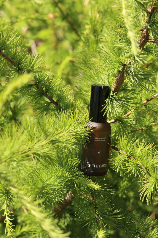 Tamarack & Wild Rose :: Room, Body & Linen Botanical Mist