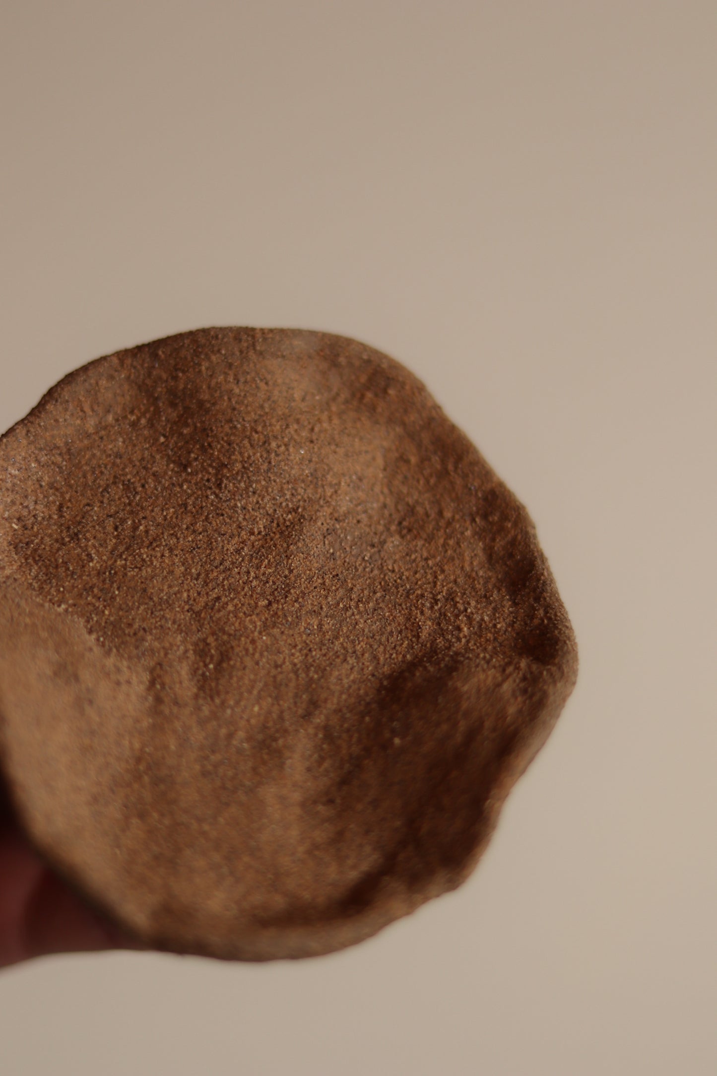Gathered Earth Orgánica Ring Dish