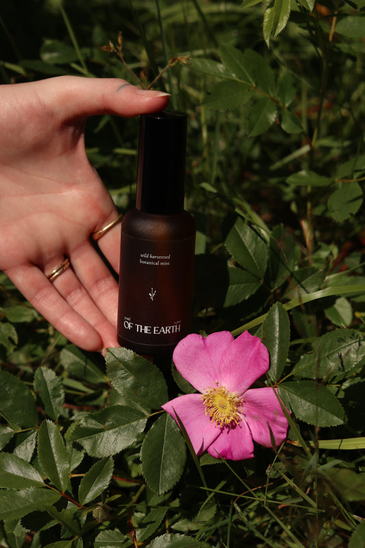 Tamarack & Wild Rose :: Room, Body & Linen Botanical Mist