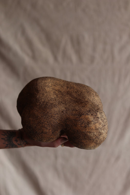 4.5" Gathered Earth Sculpture