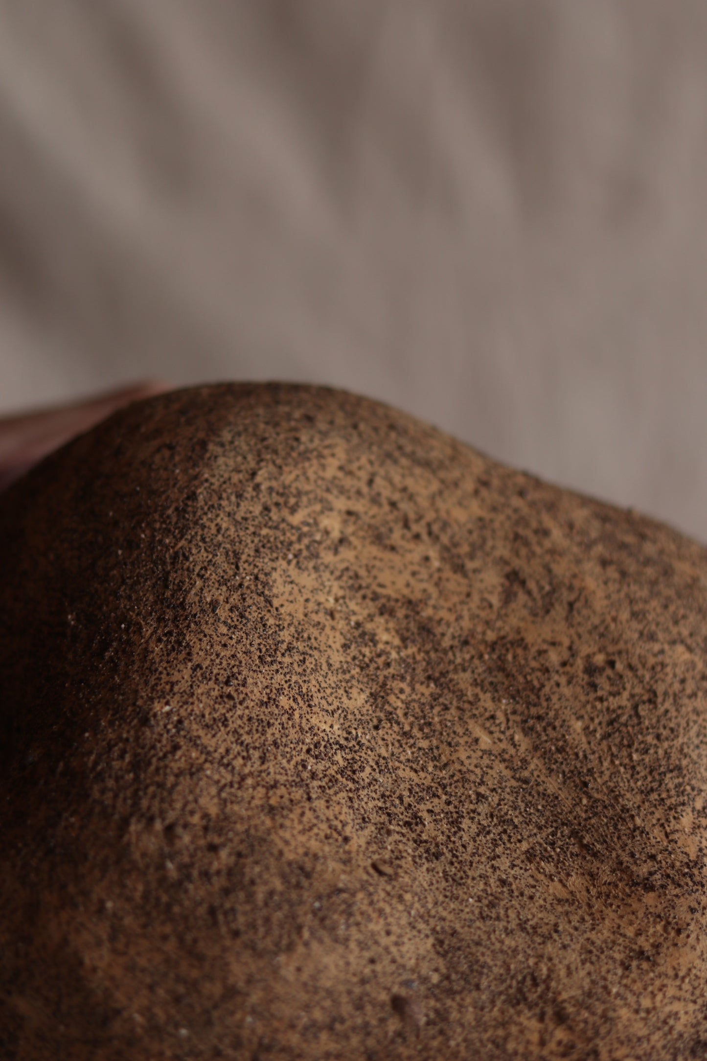 4.5" Gathered Earth Sculpture