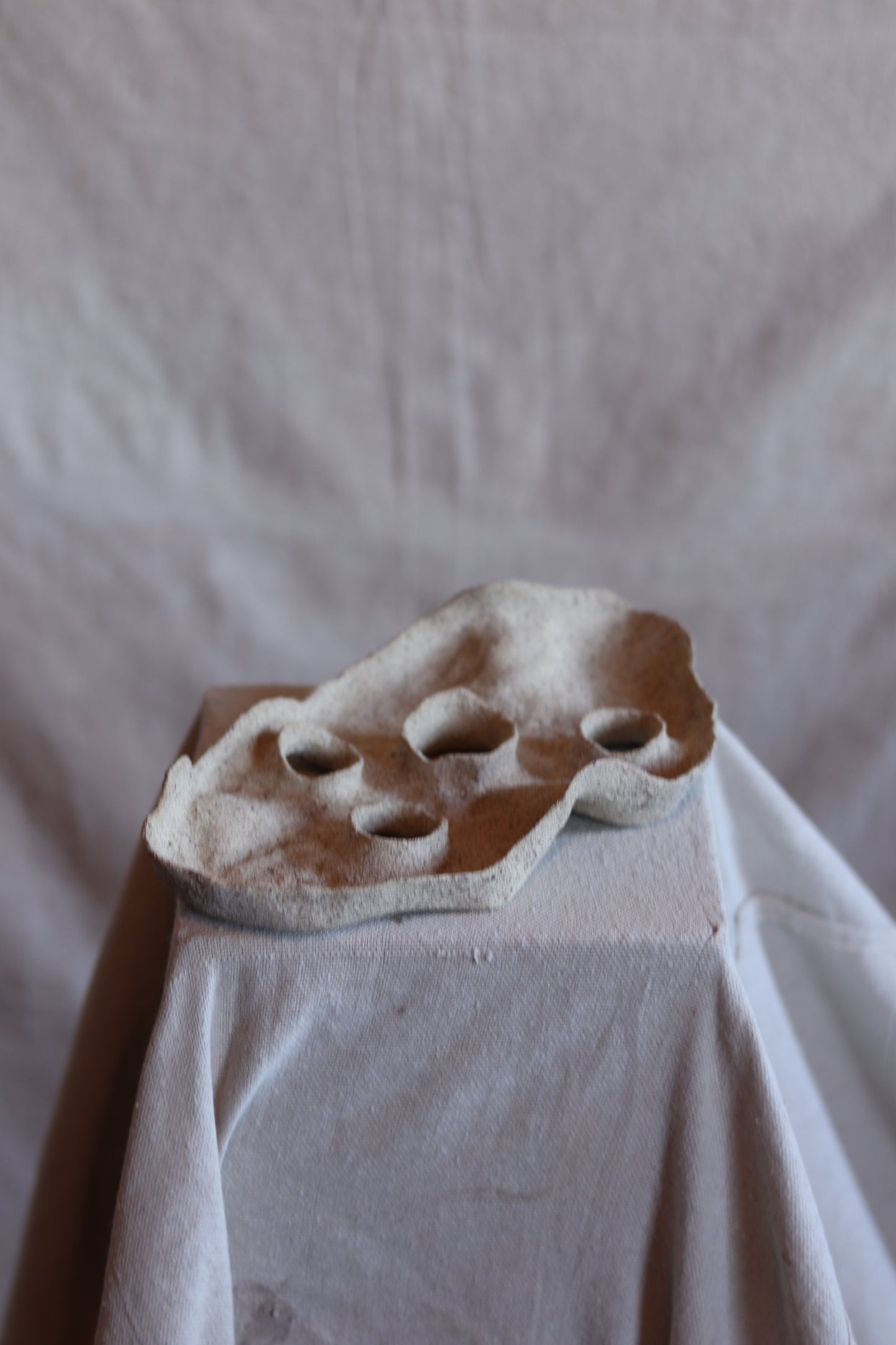 10" Gathered Earth Sculptural Dish