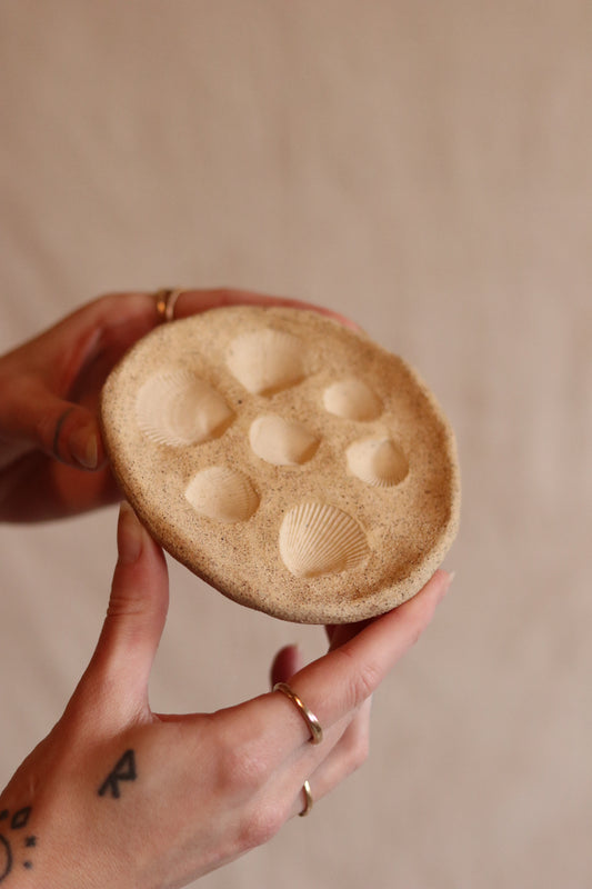 4.5" Gathered Earth Seashell Dish