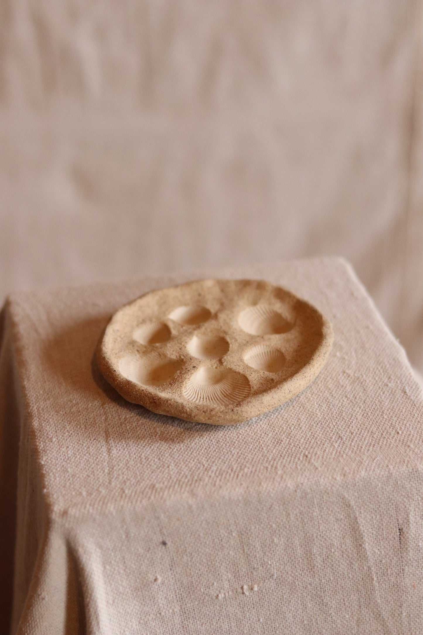 4.5" Gathered Earth Seashell Dish