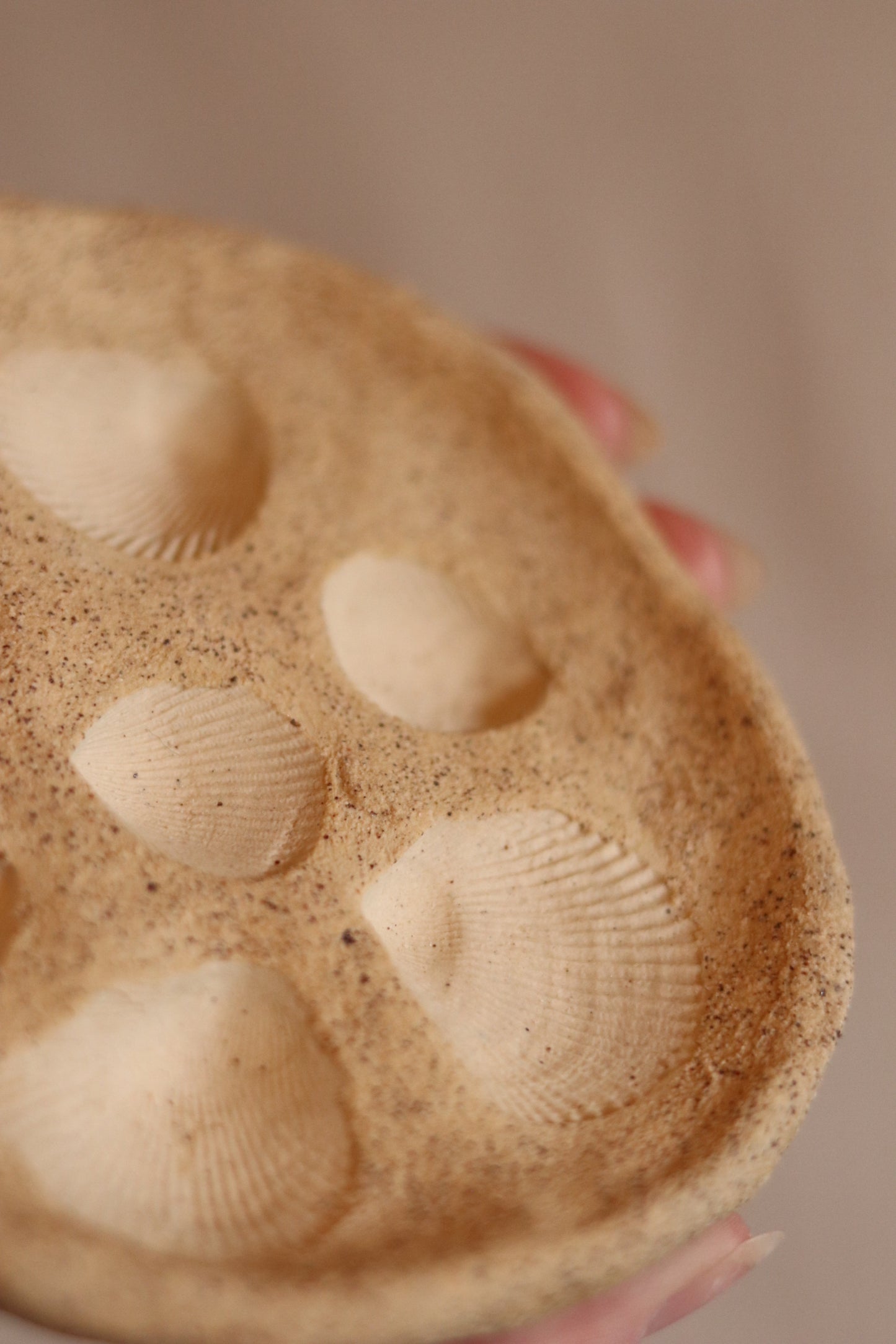 4.5" Gathered Earth Seashell Dish