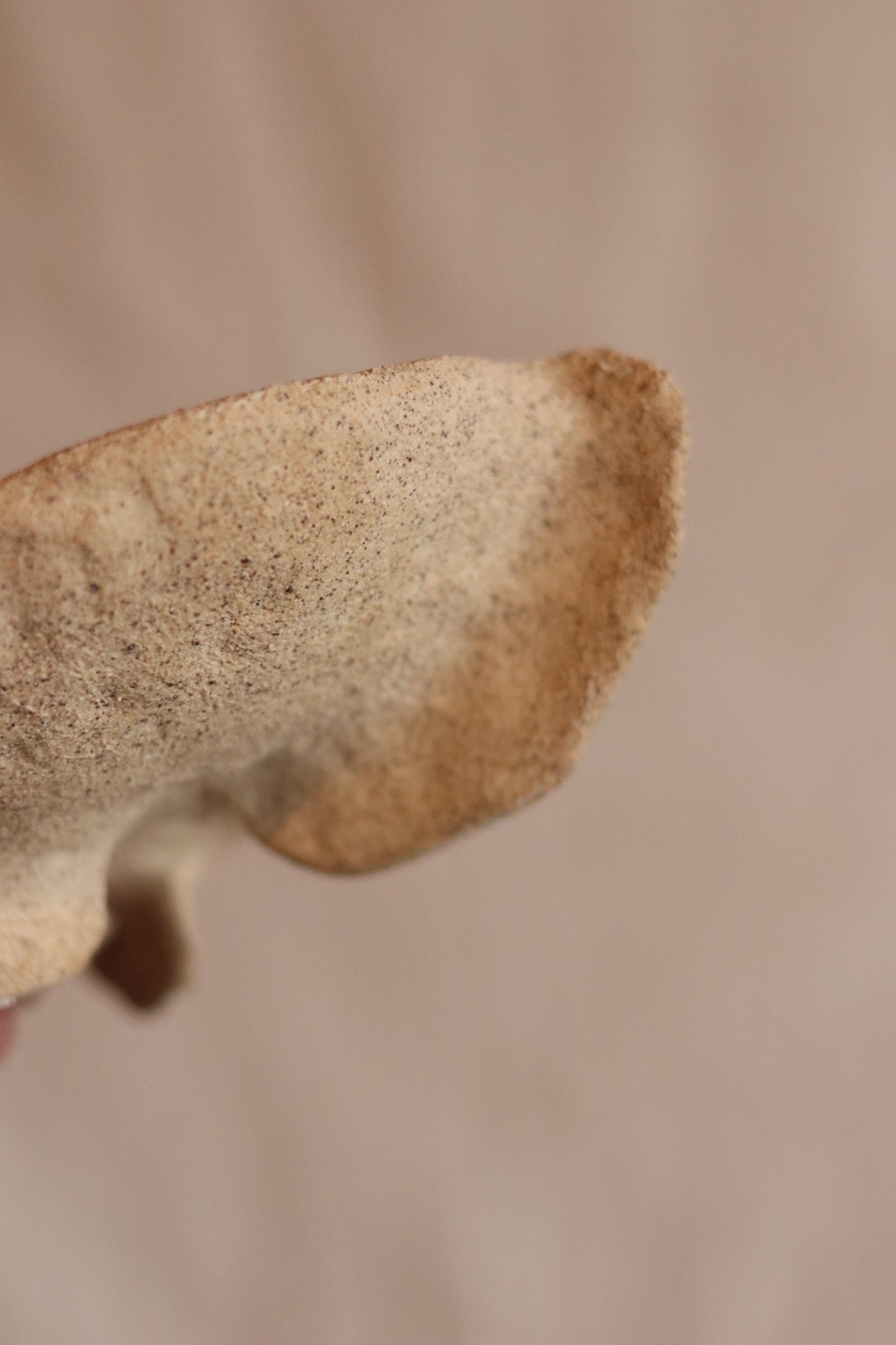 5.5" Gathered Earth Sculptural Bowl