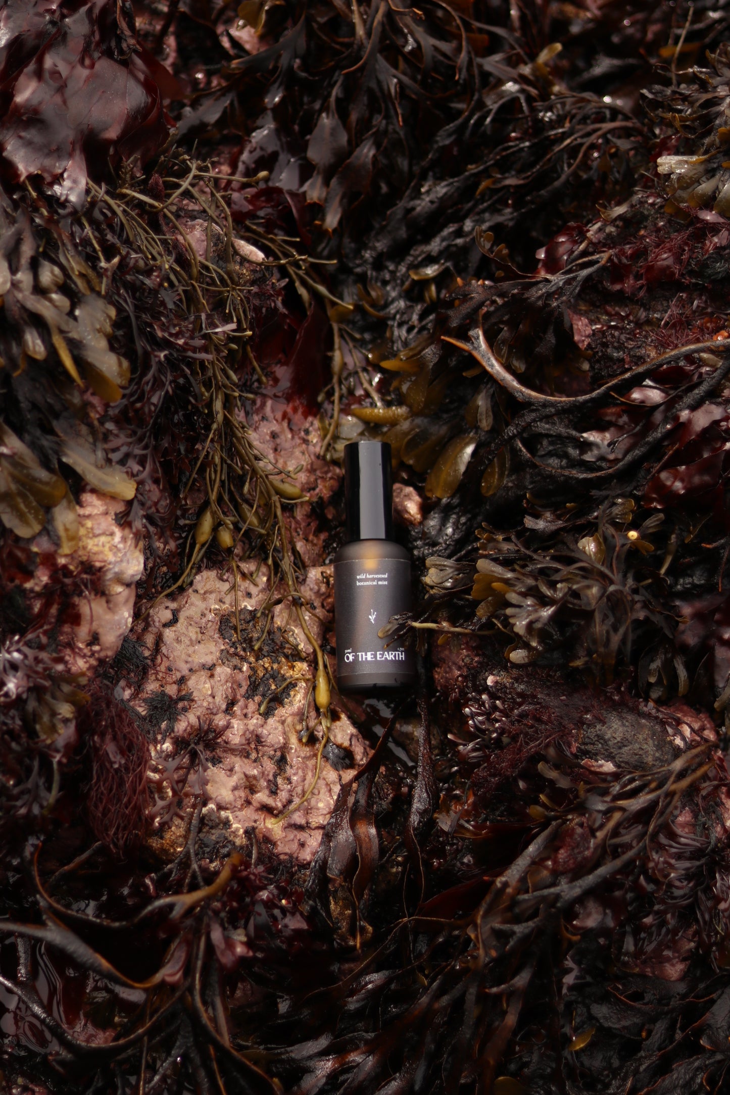Balsam Fir & Seaweed :: Room, Body & Linen Botanical Mist