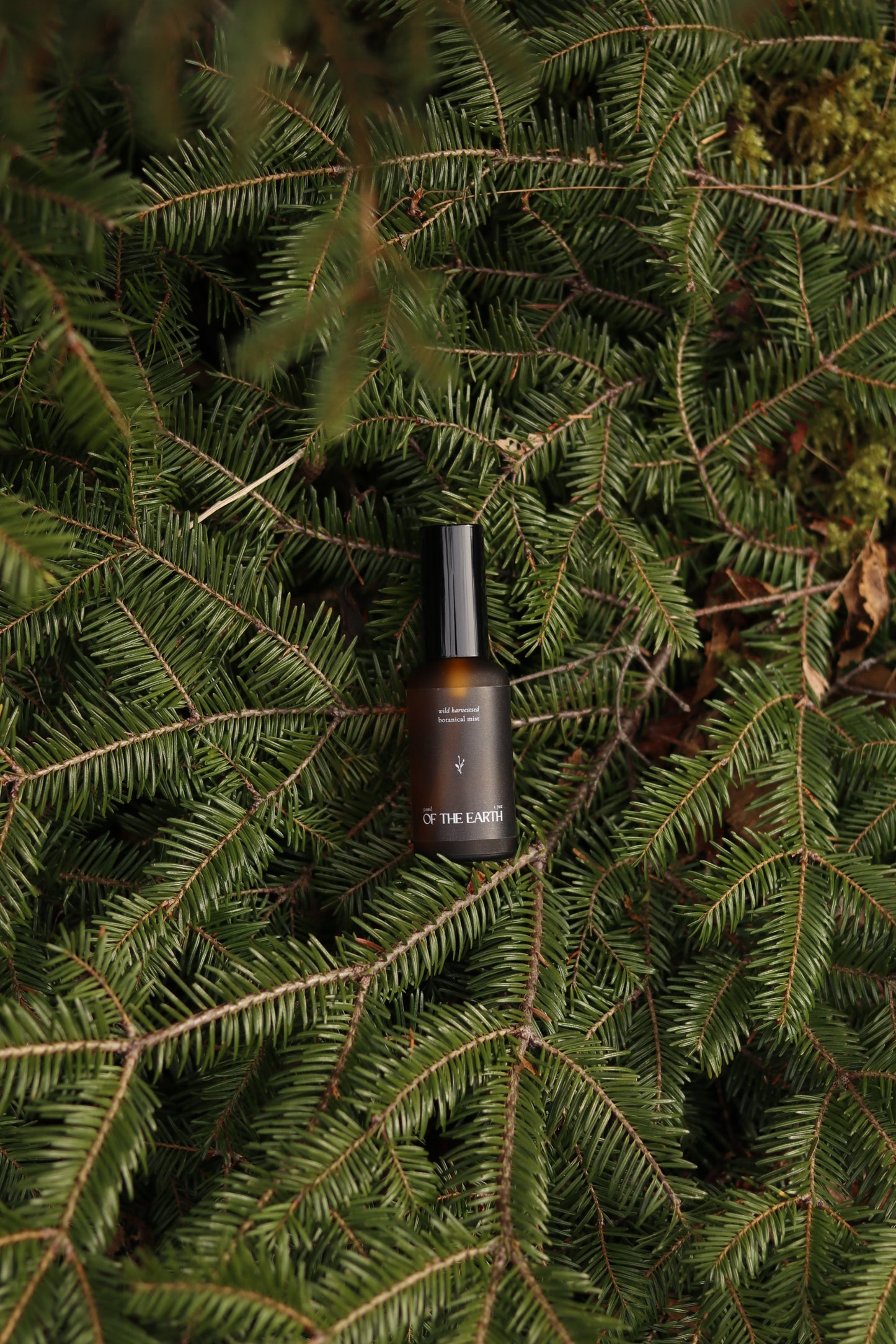 Balsam Fir & Seaweed :: Room, Body & Linen Botanical Mist