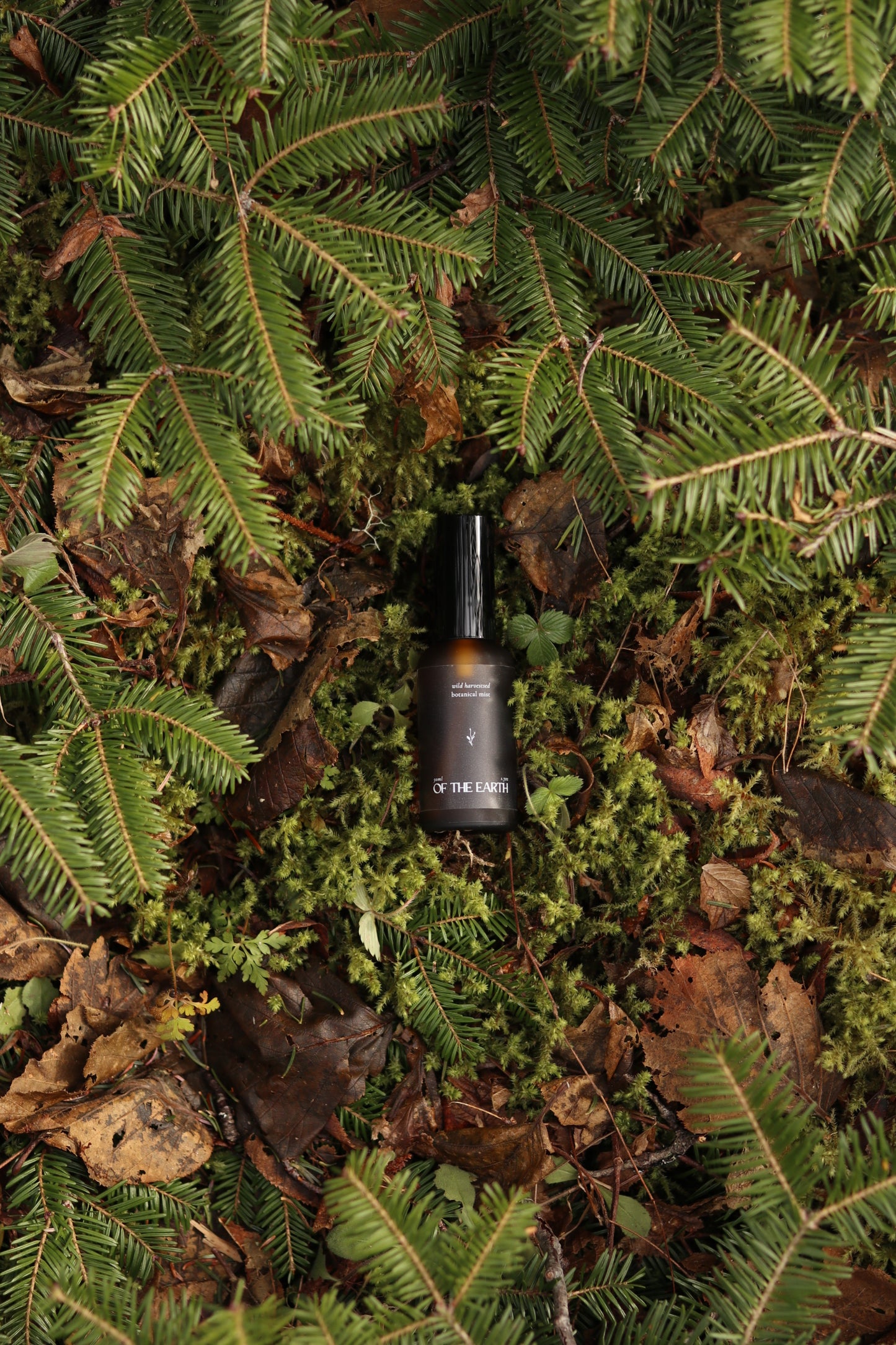 Balsam Fir & Seaweed :: Room, Body & Linen Botanical Mist