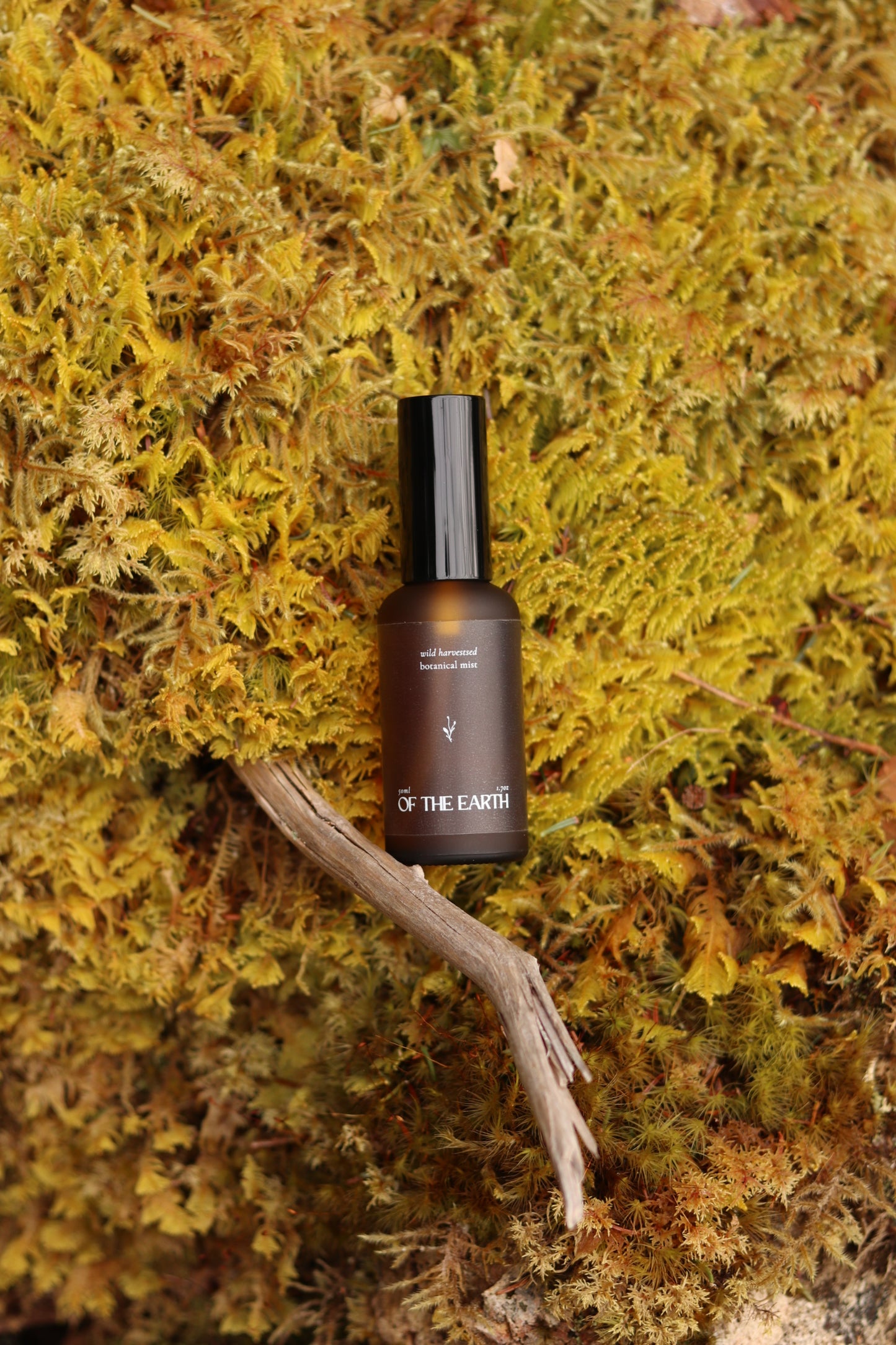 Black Spruce, Usnea and Moss:: Room, Body & Linen Botanical Mist