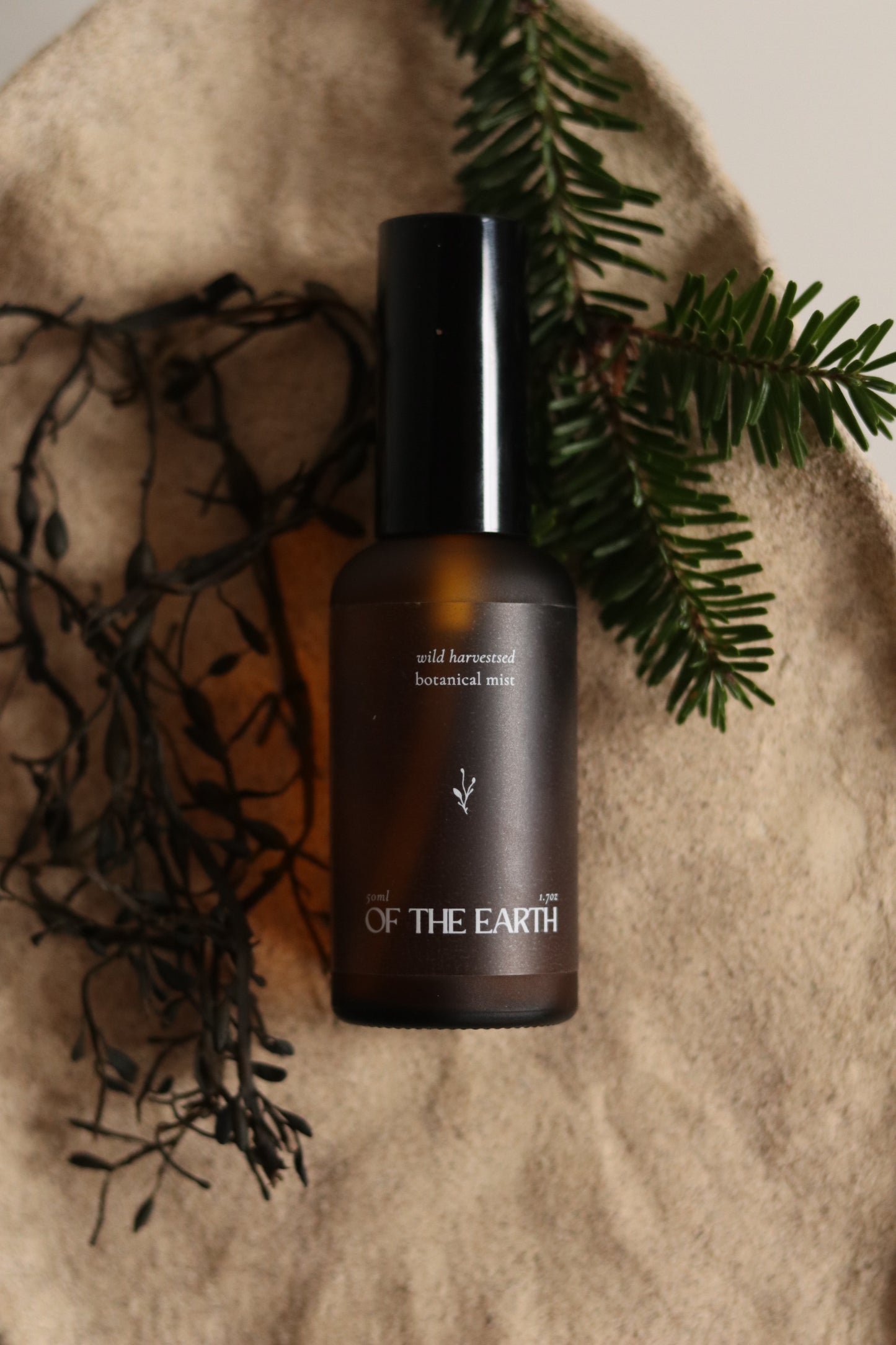 Balsam Fir & Seaweed :: Room, Body & Linen Botanical Mist