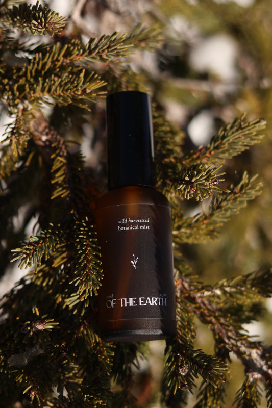 Black Spruce, Usnea and Moss:: Room, Body & Linen Botanical Mist