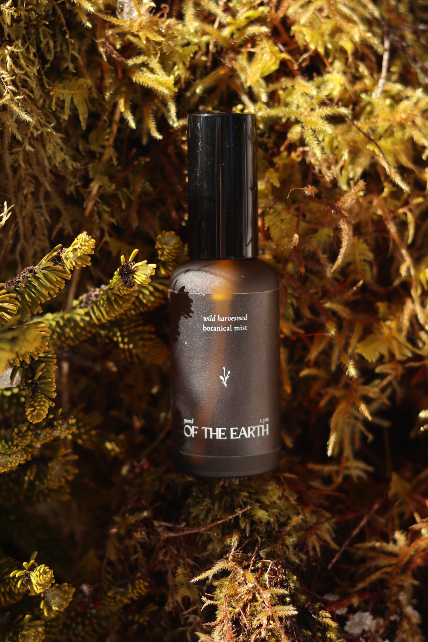 Black Spruce, Usnea and Moss:: Room, Body & Linen Botanical Mist