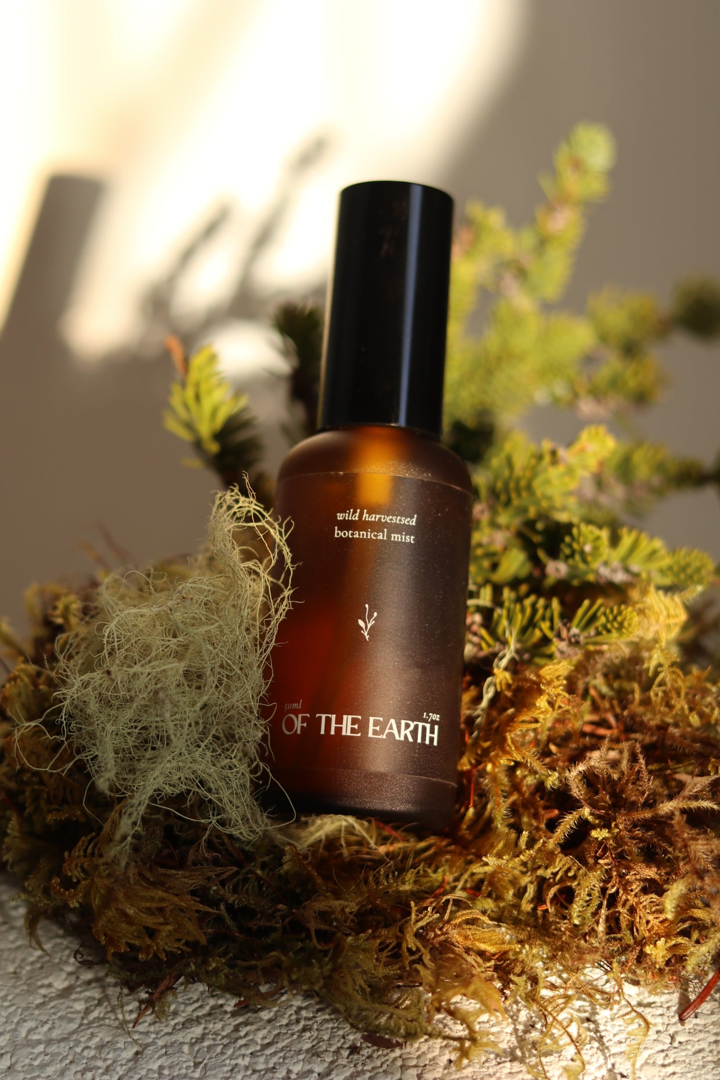 Black Spruce, Usnea and Moss:: Room, Body & Linen Botanical Mist