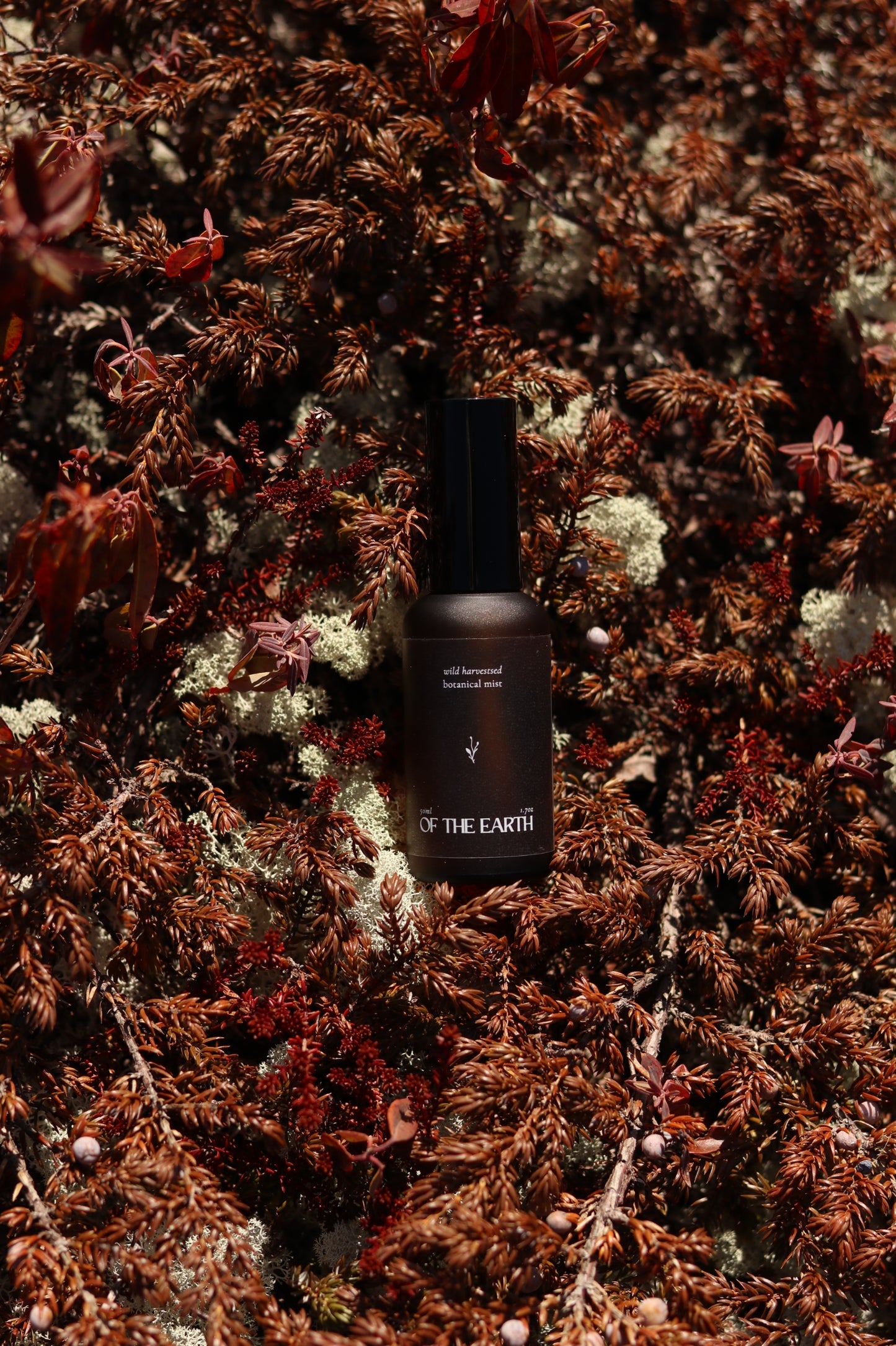 Juniper, Reindeer Moss & Labrador Tea :: Room, Body & Linen Botanical Mist