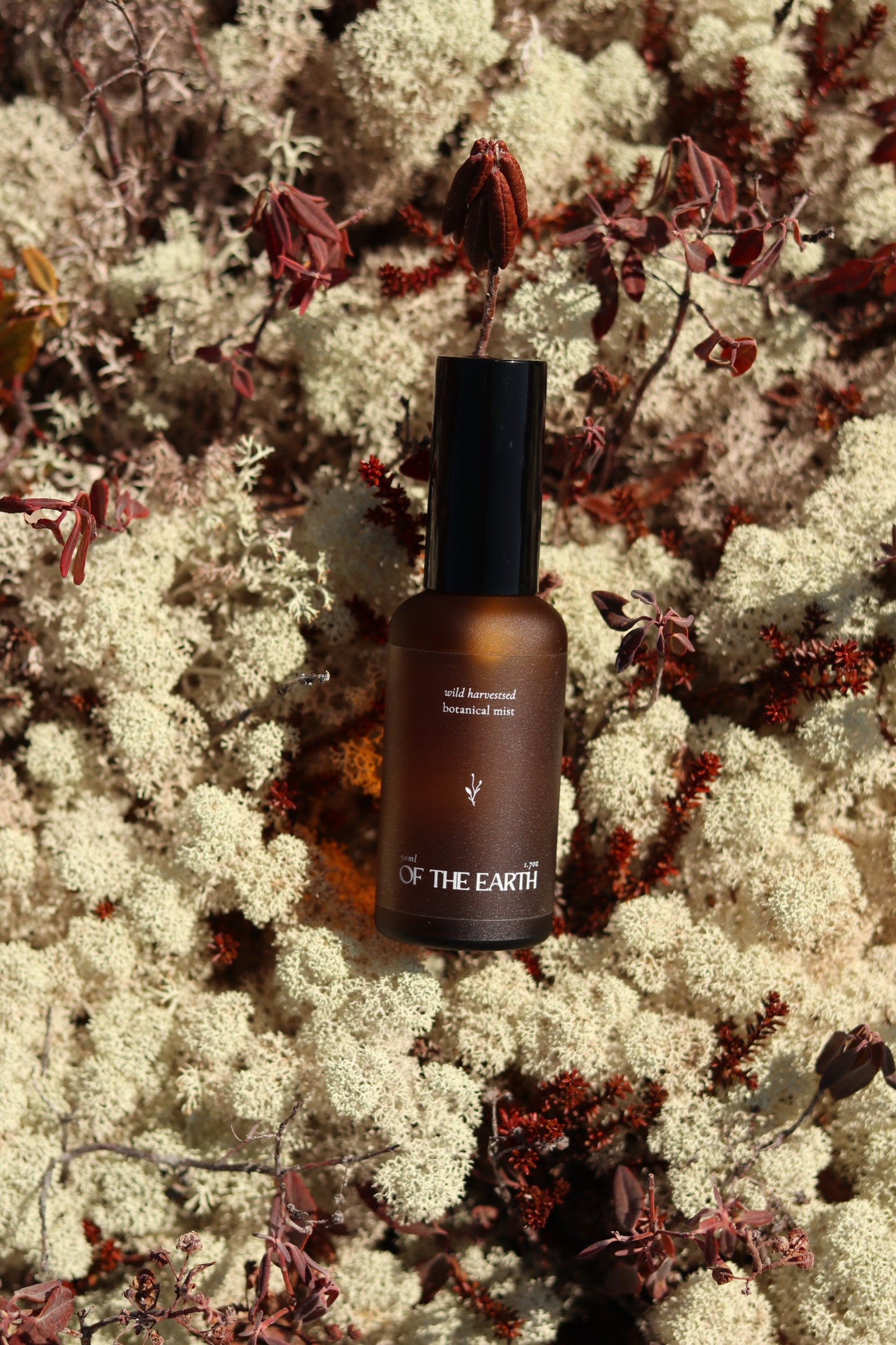 Juniper, Reindeer Moss & Labrador Tea :: Room, Body & Linen Botanical Mist