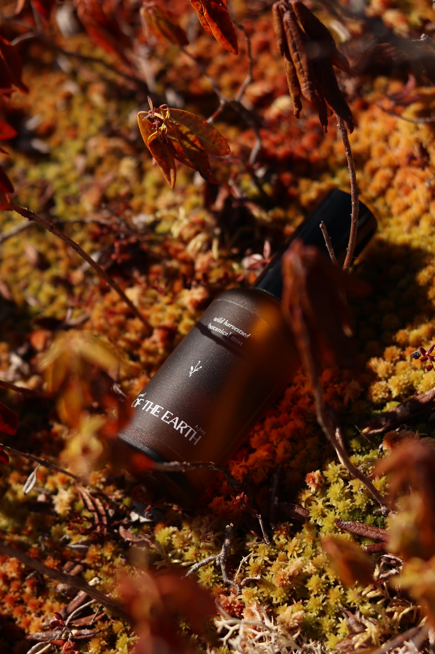 Juniper, Reindeer Moss & Labrador Tea :: Room, Body & Linen Botanical Mist
