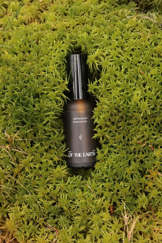 Balsam Fir, Fern & Moss :: Room, Body & Linen Botanical Mist