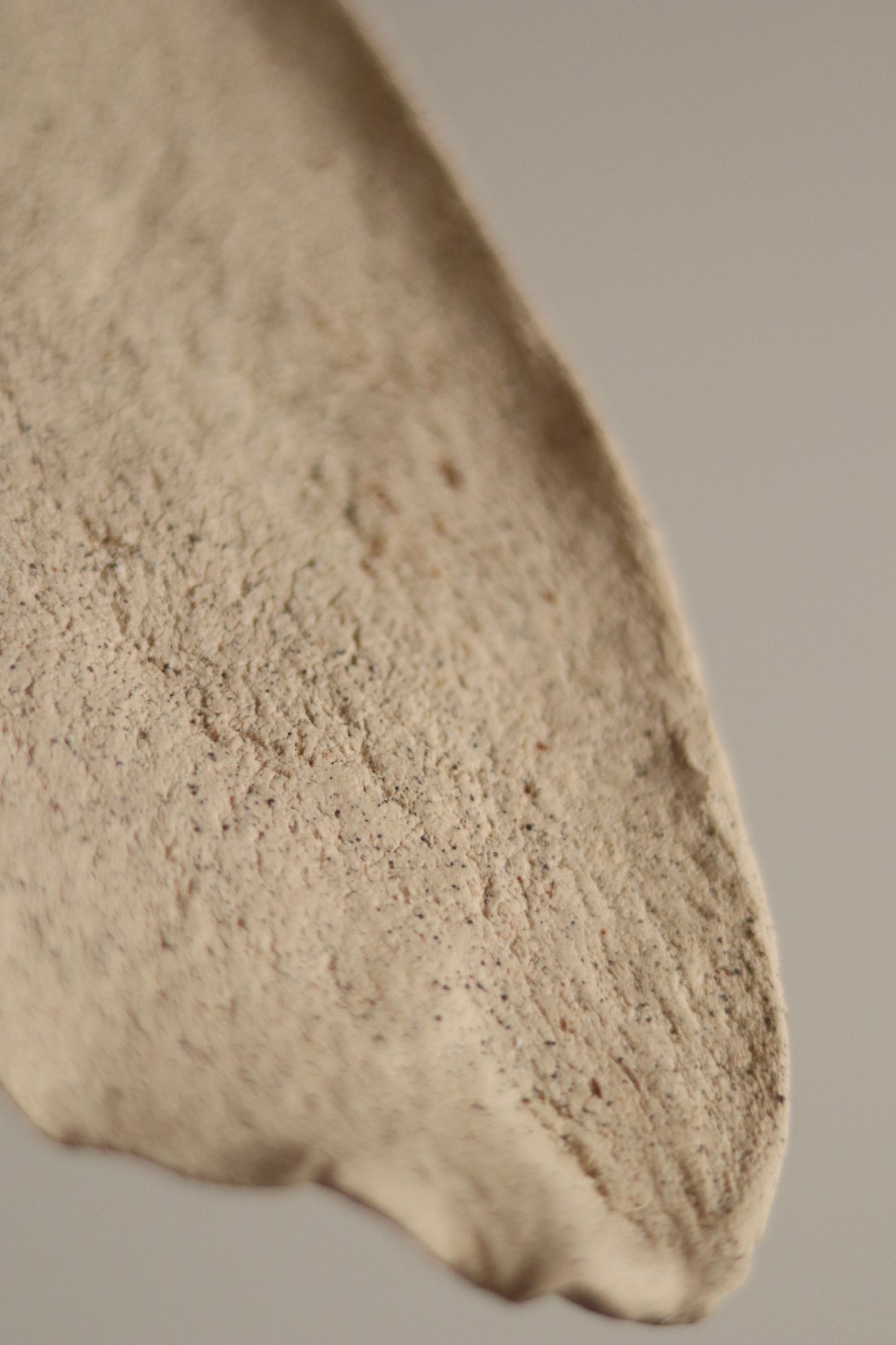 15" Gathered Earth Orgánica Tray