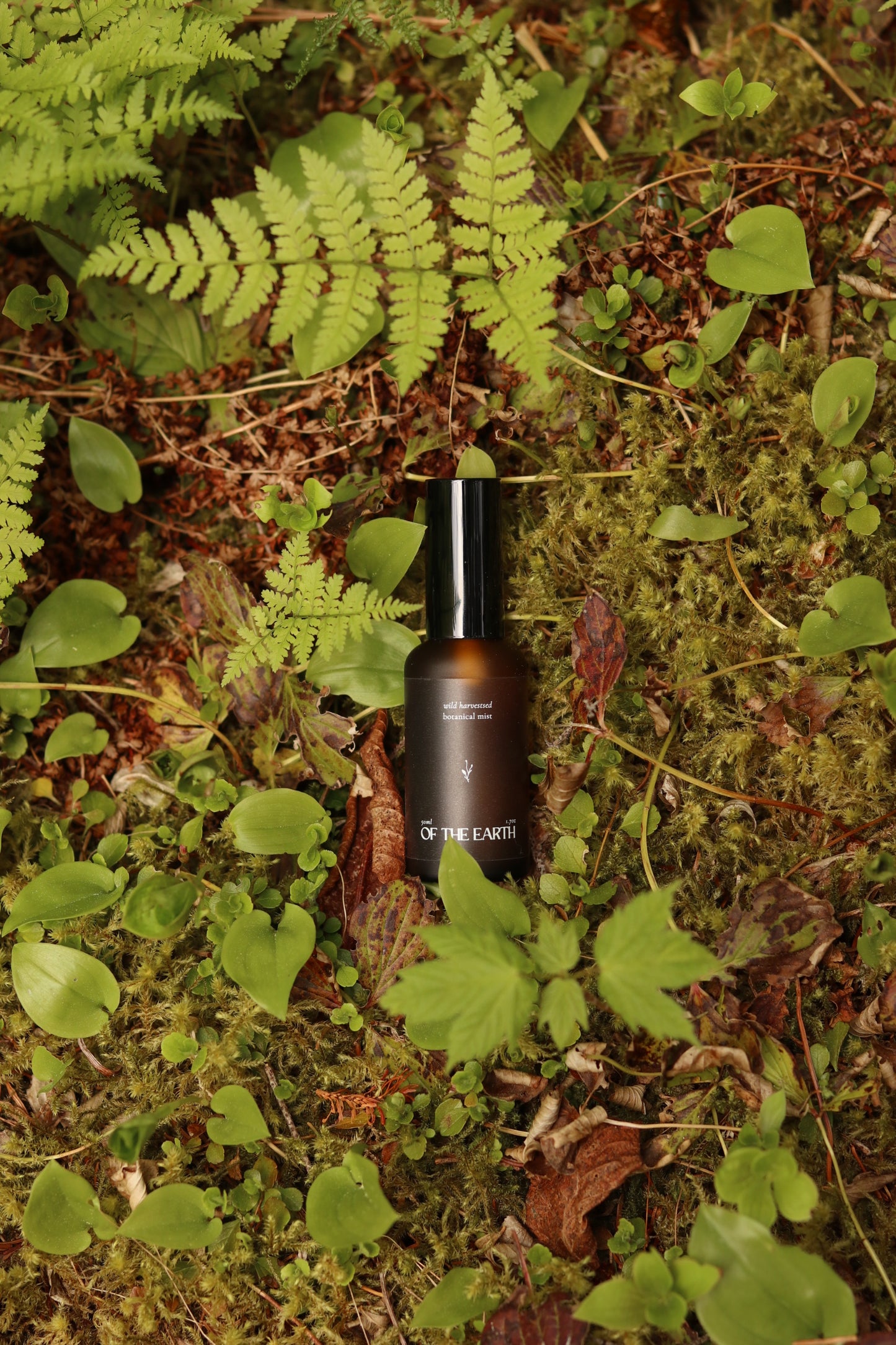 Balsam Fir, Fern & Moss :: Room, Body & Linen Botanical Mist