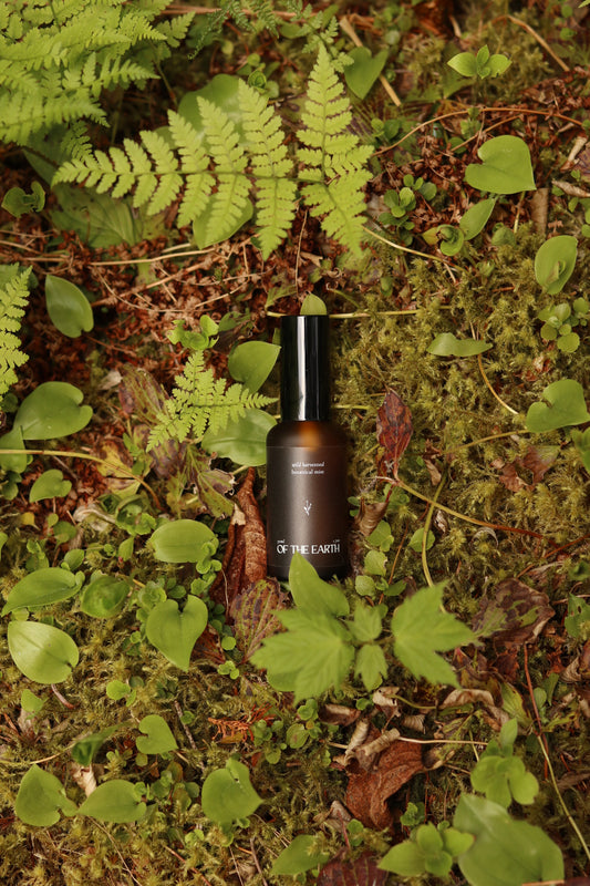 Balsam Fir, Fern & Moss :: Room, Body & Linen Botanical Mist